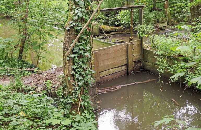 Das Landratsamt hat verfügt, dass aus Flüssen und Bächen kein Wasser mehr entnommen werden darf. Das Landratsamt hat verfügt, dass aus Flüssen und Bächen kein Wasser mehr entnommen werden darf.