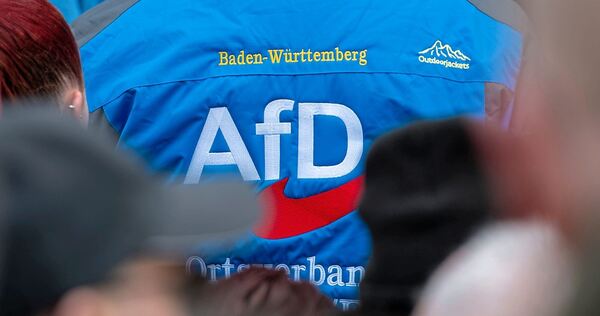 Ein AfD-Wahlkämpfer mit Parteilogo auf der Jacke: Zwei Vertreter der Rechtspopulisten haben es jetzt in den Landtag geschafft.