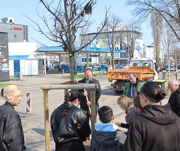 Pflanzung des Erguvanbaums im engsten Familienkreis mit OB Matthias Knecht (hinten) und Ulrike Schmidtgen (links): Die Hoffnung ist groß, dass der neue Baum schon in diesem Frühjahr in Purpur blühen wird.