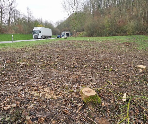 Hier am Tunnel Steinbruch mündet die Busspur von Marbach auf die L 1100 in Richtung Bottwartal ein. Die Fläche wurde bereits gerodet.