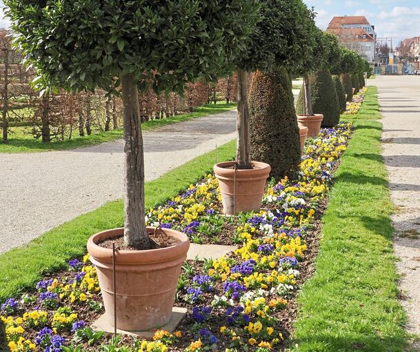 Das Blühende Barock ist bereit für den Frühling.