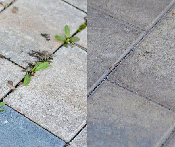 Unkraut stört viele Terassen- und Balkonbesitzer.