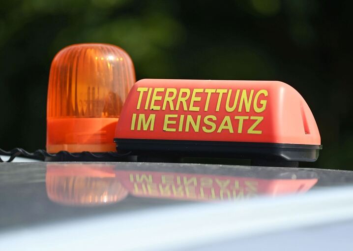 Tierrettung