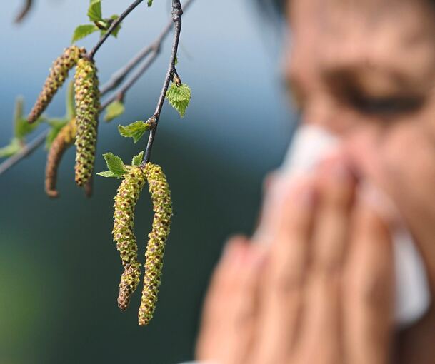 Die Nase läuft, die Augen tränen: 15 bis 20 Prozent aller Deutschen leiden unter einer Pollenallergie.