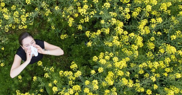 Pollen allergy: Identifying plants and trees yourself