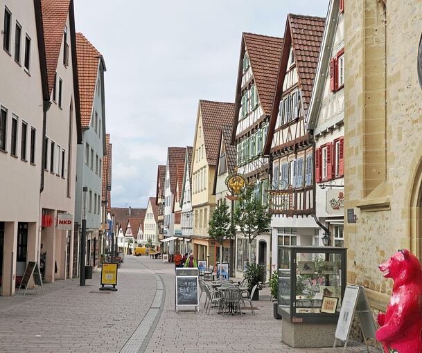 Ob sich die Haushaltssperre in den kommenden Wochen in Marbach bemerkbar machen wird, bleibt abzuwarten.