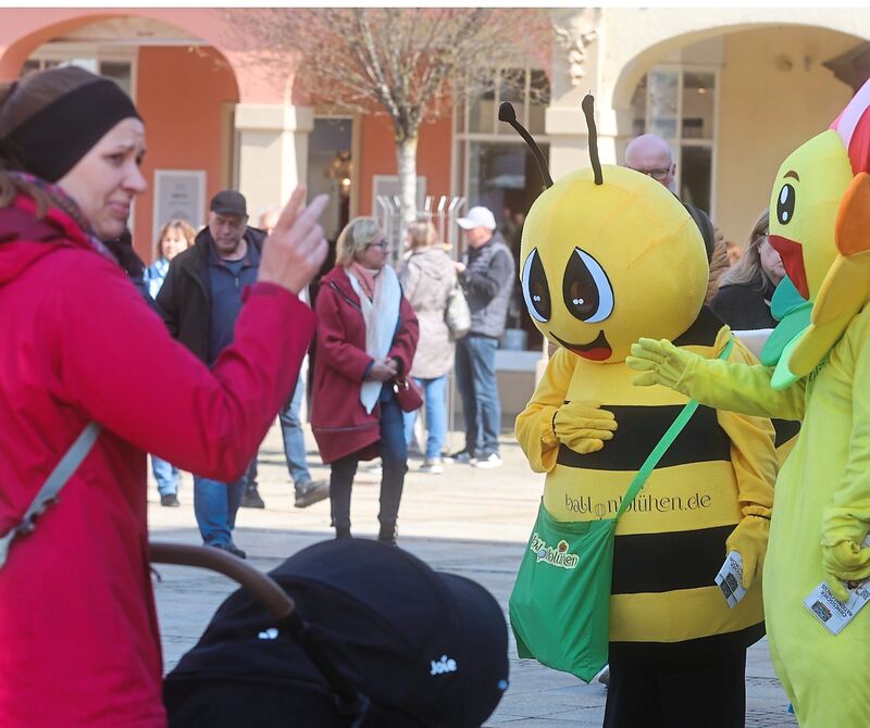Diese Biene ist vom Flug- in den Spaziermodus umgeschwenkt.