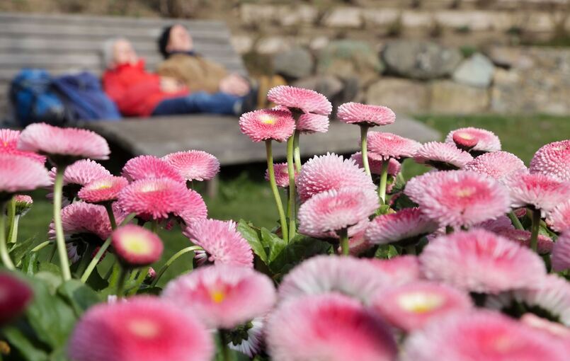 Wetter in Baden-Württemberg Wetter in Baden-Württemberg