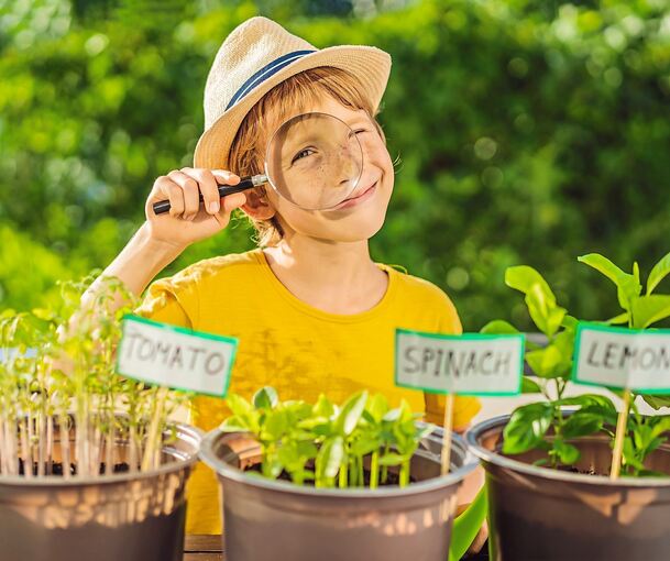 Es gibt so viel zu entdecken und manches ist sogar kostenlos!