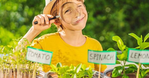 Es gibt so viel zu entdecken und manches ist sogar kostenlos!