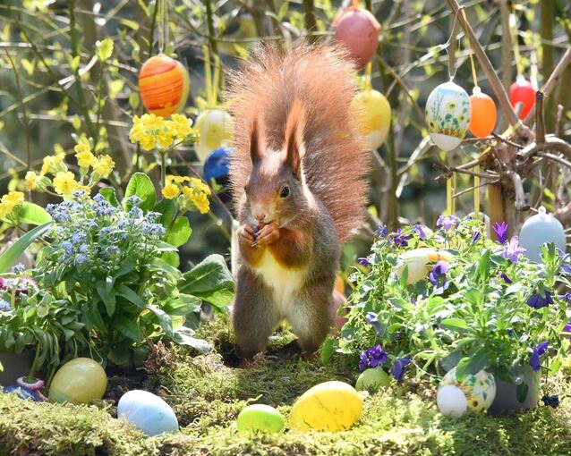 Tipps zur Zeitumstellung