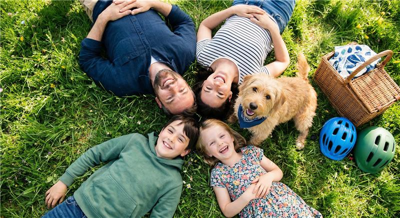 Firefly_GeminiFlash_Overhead top-down photography of four ...