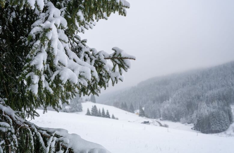 Wetter in Baden-Württemberg
