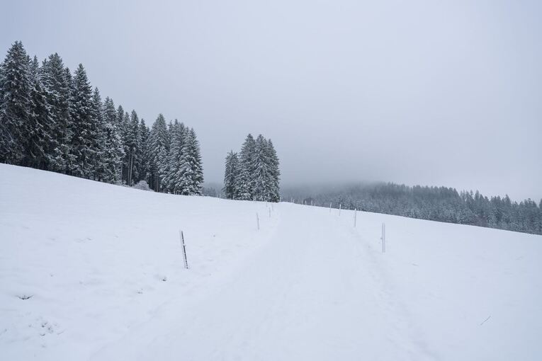 Wetter in Baden-Württemberg