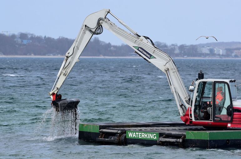 Wal an der Ostseeküste gestrandet Wal an der Ostseeküste gestrandet
