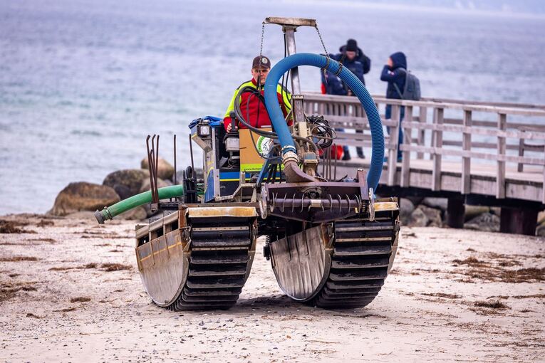 Wal an der Ostseeküste gestrandet Wal an der Ostseeküste gestrandet