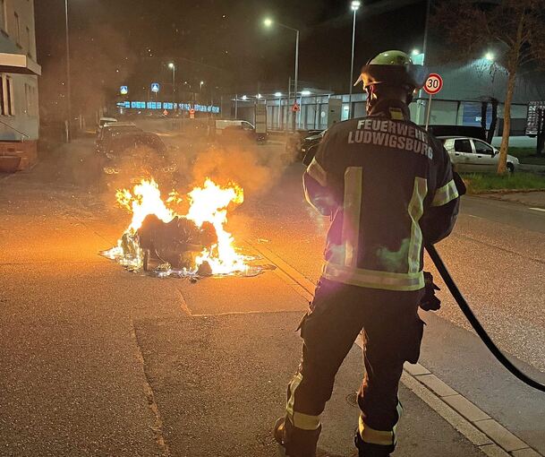 Ein aufmerksamer Verkehrsteilnehmer hat den Tonnenbrand bemerkt und alarmierte die Feuerwehr.