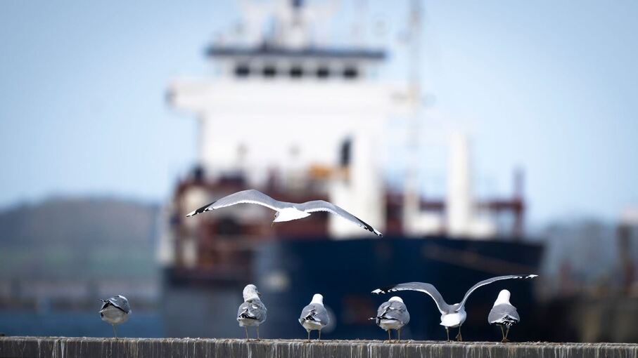 Wetter in Mecklenburg-Vorpommern Wetter in Mecklenburg-Vorpommern