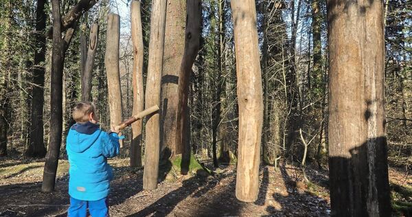 Raus an die frische Luft: Auf dem Hardy-Pfad entdecken Groß und Klein den Wald.