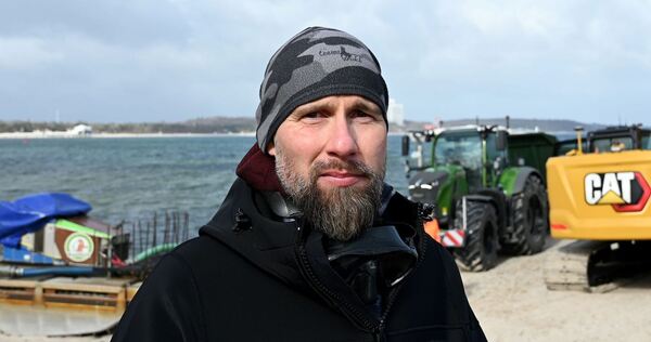 Wal an der Ostseeküste gestrandet