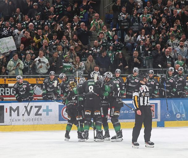 Heimsieg für die Bietigheim Steelers.