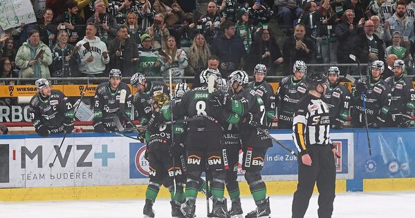 Heimsieg für die Bietigheim Steelers.