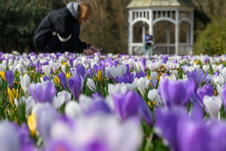Frühlingserwachen - März-Bilanz DWD