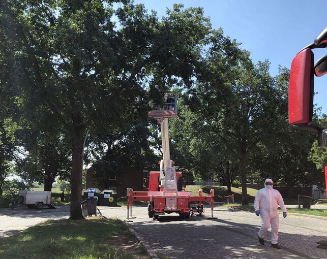 Bekämpfung des Eichenprozessionsspinners Bekämpfung des Eichenprozessionsspinners