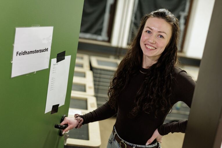 Feldhamster-Nachzucht Feldhamster-Nachzucht