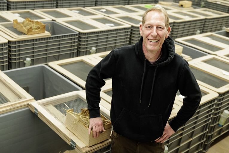 Feldhamster-Nachzucht Feldhamster-Nachzucht