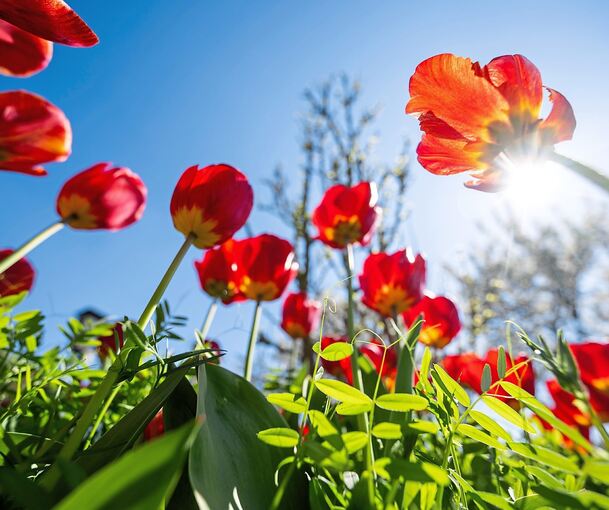 Schönes Wetter wird am Sonntag und Montag erwartet.