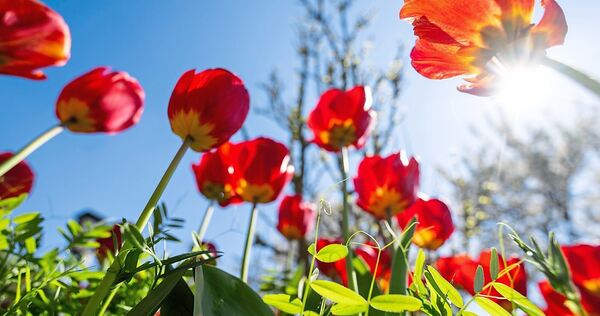Schönes Wetter wird am Sonntag und Montag erwartet.