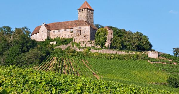 Rund um den Lichtenberg in Oberstenfeld tobt der Streit um den geplanten Bau eines Hühnerhofes.