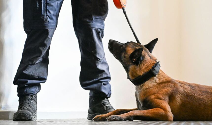 Vorstellung der ersten justizeigenen Datenträgerspürhunde Vorstellung der ersten justizeigenen Datenträgerspürhunde