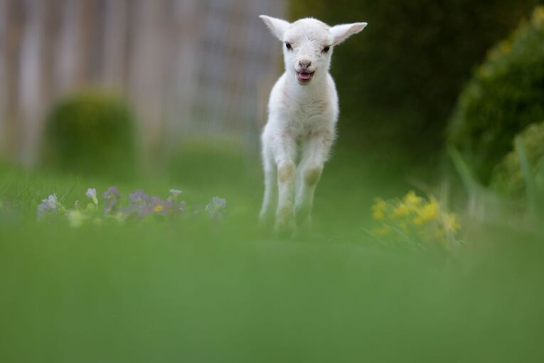 Wetter in Baden-Württemberg