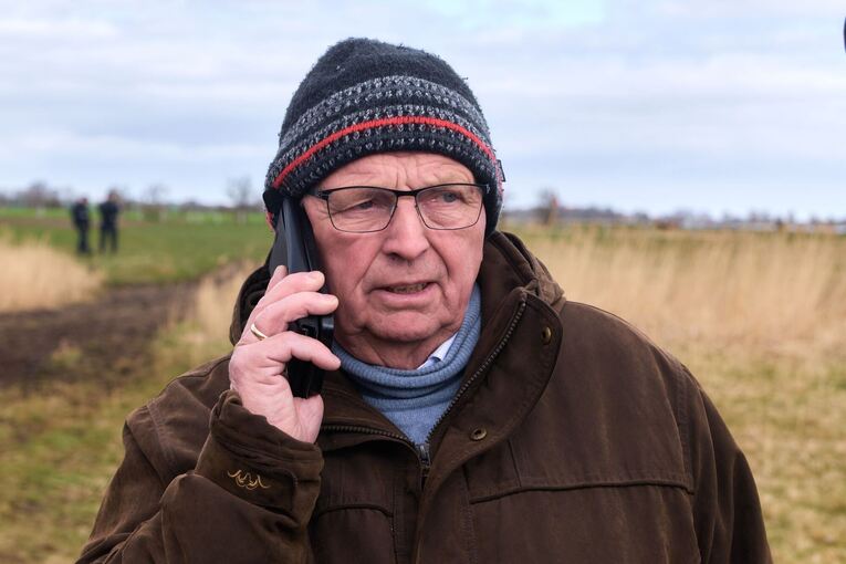 Buckelwal liegt weiter in Wismarbucht