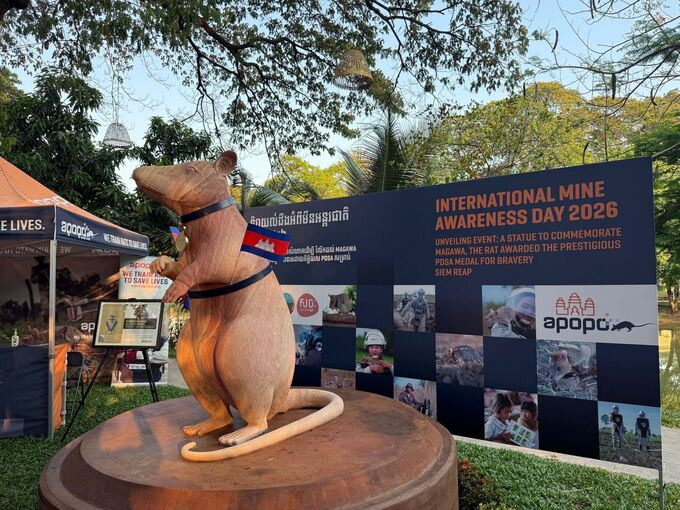 Statue für weltbekannte Minensuch-Ratte Magawa