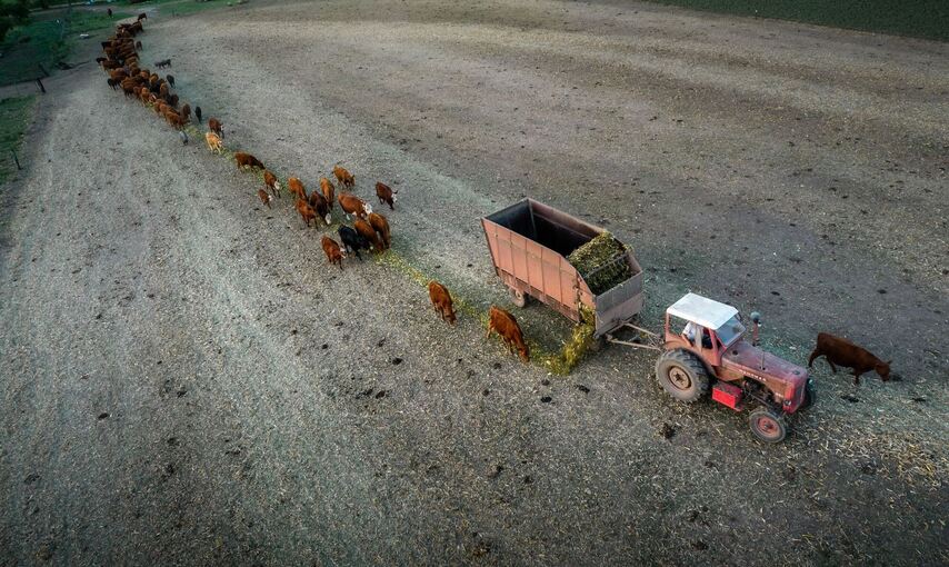 Dürre in Argentinien