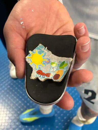 TSG 1899 Hoffenheim - FSV Mainz 05