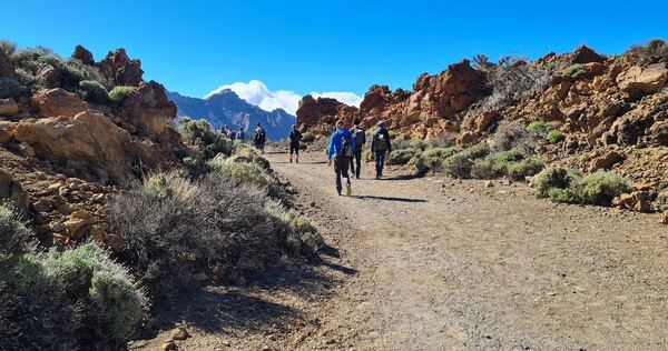 Vulkanlandschaft auf Teneriffa