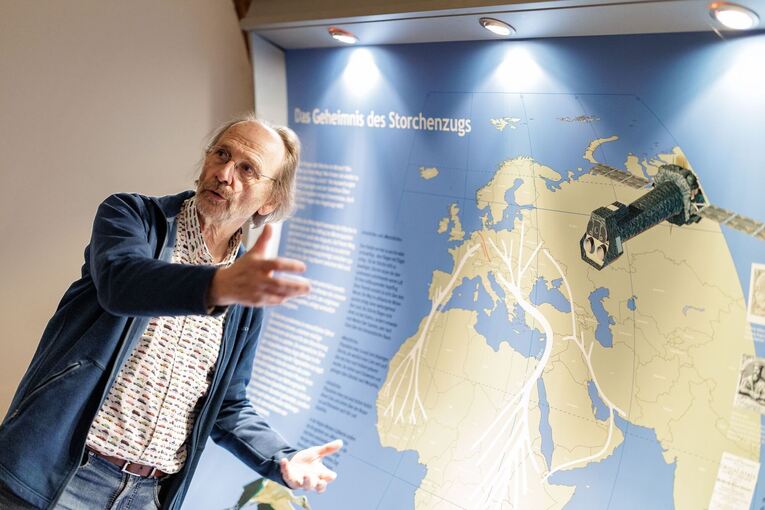 Westfälischen Storchenmuseum