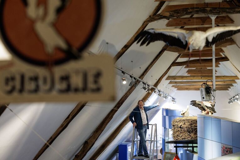 Westfälischen Storchenmuseum