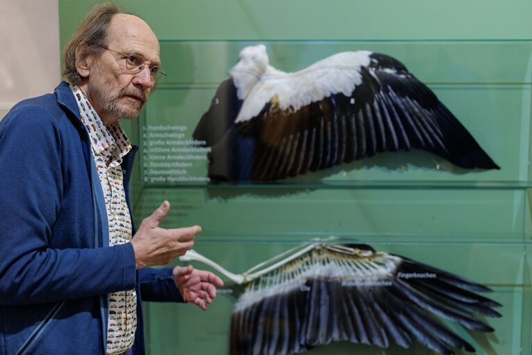 Westfälischen Storchenmuseum