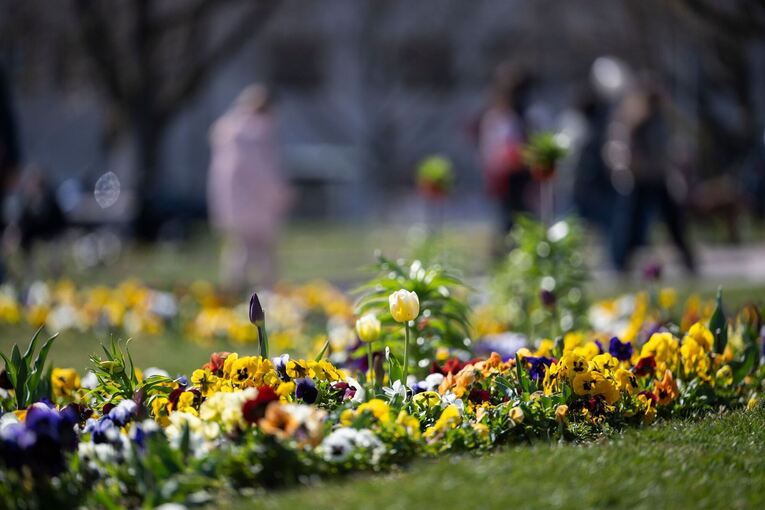 Wetter in Stutgart Wetter in Stutgart