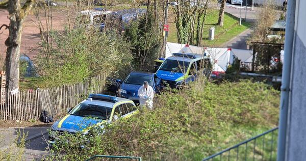 Mann stirbt nach Polizeischüssen bei Verfolgungsfahrt