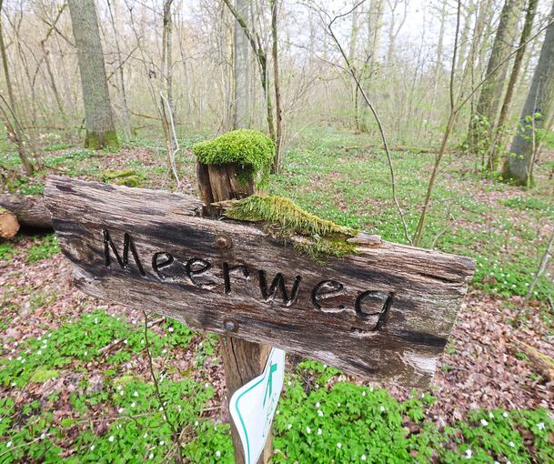 Der Meerweg im Löchgauer Wald führte früher zu einem See. Letzterer ist verschwunden, der Name blieb erhalten.