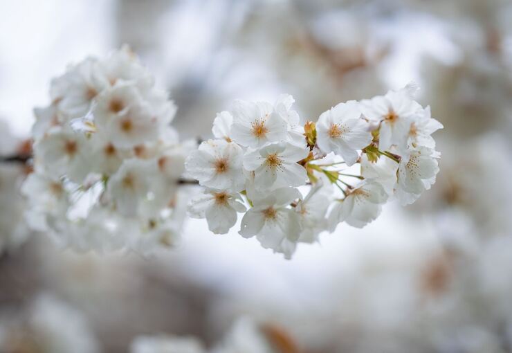 Frühlingswetter in Baden-Württemberg Frühlingswetter in Baden-Württemberg