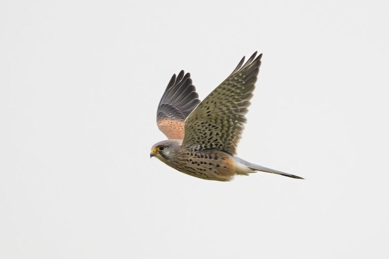 Wetter in Baden-Württemberg
