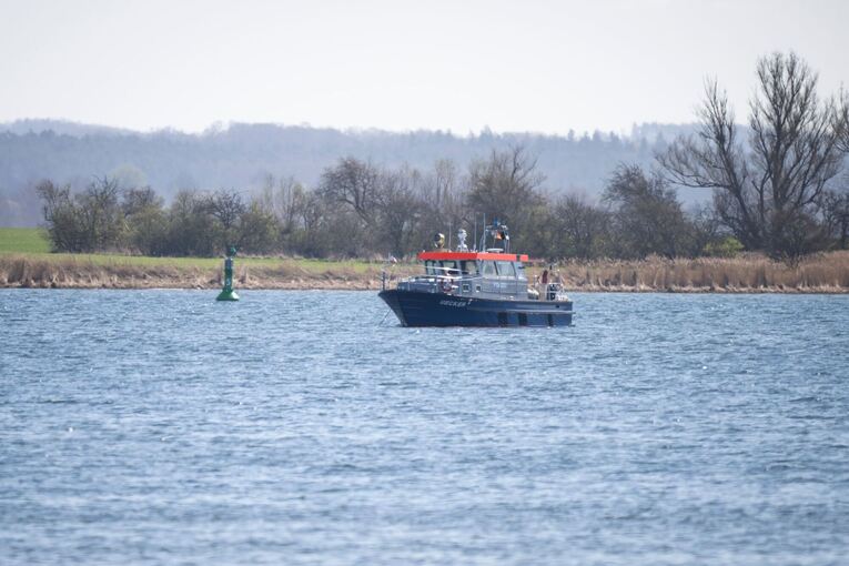 Gestrandeter Buckelwal in Wismarbucht