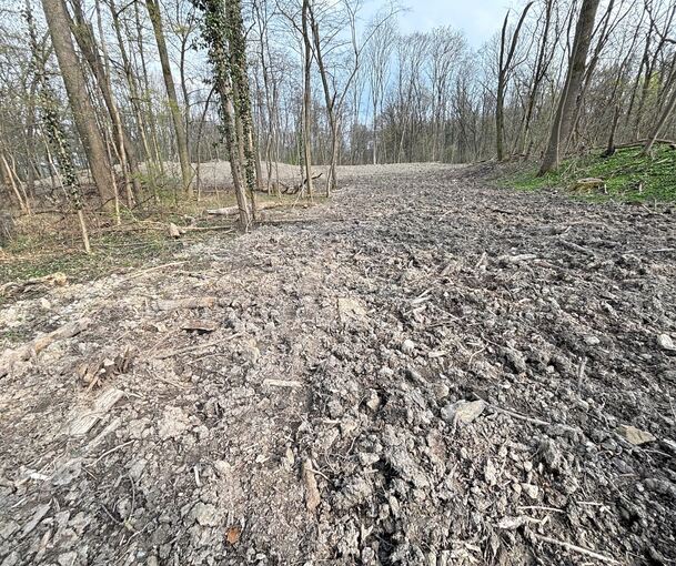 Für den Rückbau der Schießanlagen hat die Bima viele Böume gefällt. So soll es im Osterholzwald aber bald nicht mehr aussehen.
